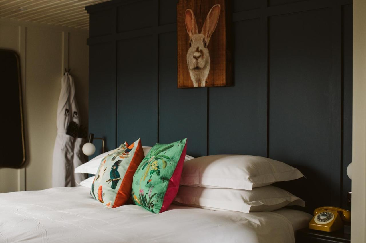 The Rabbit Hotel & Retreat Templepatrick Exterior photo